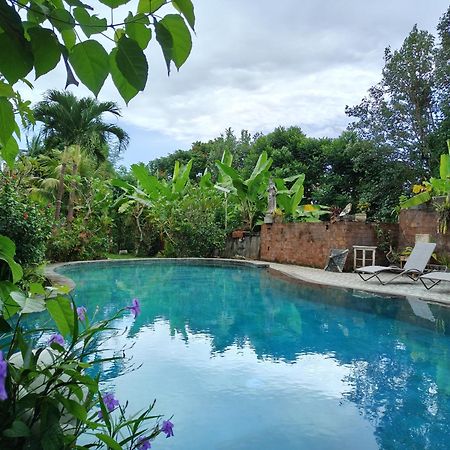 Warsi Bungalow Ubud Zewnętrze zdjęcie